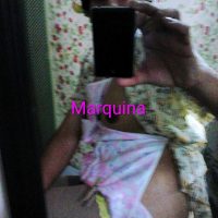 Marquina Domestic 